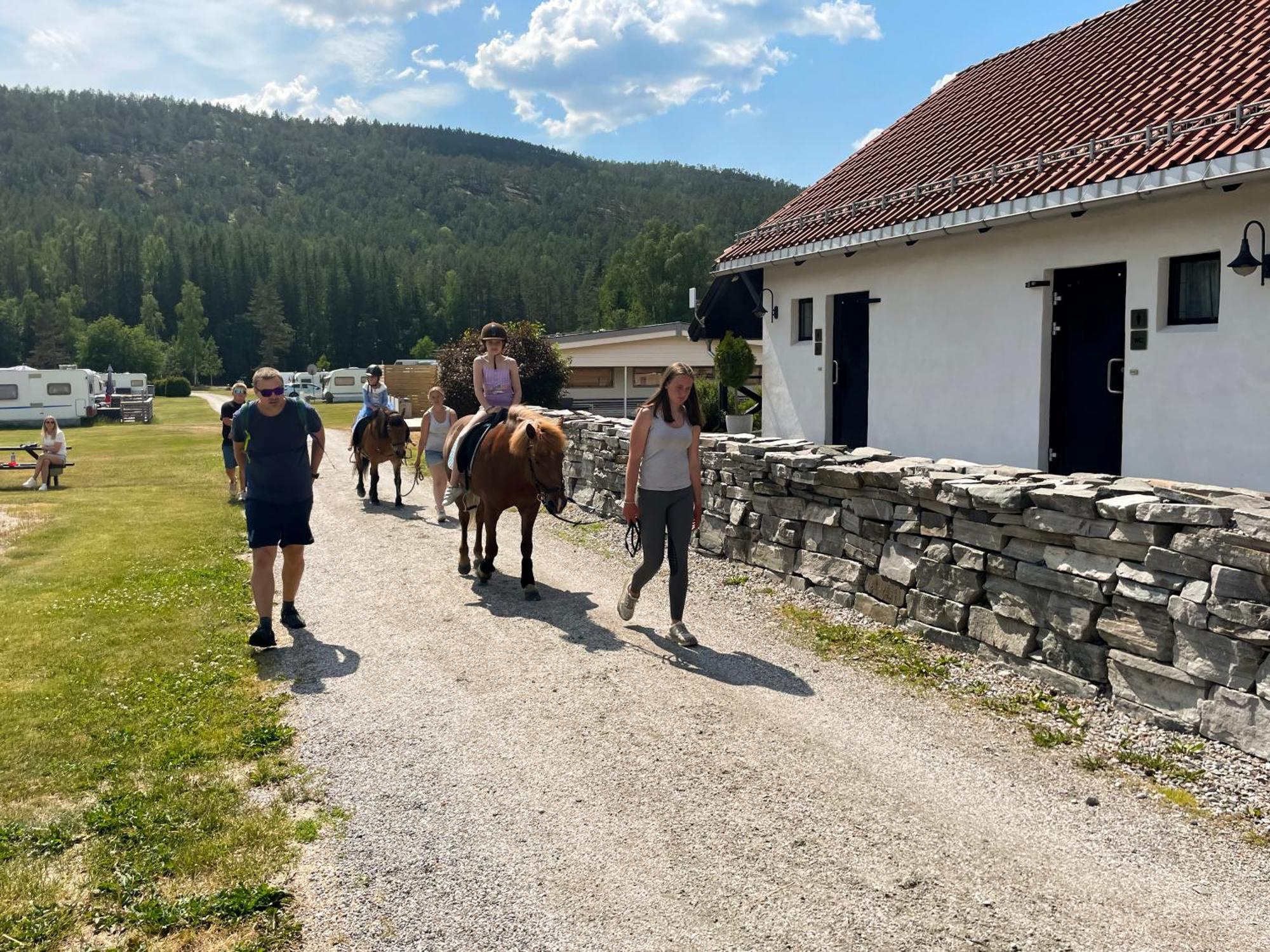 Hegna Camping Seljord Bagian luar foto